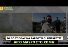 «Το πολύ πολύ να βλέπουν οι επισκέπτες λίγο μαύρο στο χώμα», δηλώνει η Λ. Μενδώνη για τη φωτιά στις Μυκήνες