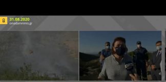 «Το πολύ πολύ να βλέπουν οι επισκέπτες λίγο μαύρο στο χώμα», δηλώνει η Λ. Μενδώνη για τη φωτιά στις Μυκήνες