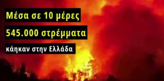 Σοκ και Δέος: Στάχτη περισσότερα από 545.000 στρέμματα στην Ελλάδα μέσα σε 10 μέρες